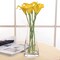 Flower Vase for Decor 10" Clear Glass Vase for Centerpieces Large Vases for Flowers Dried Flower Home Decor Living Room Kitchen Office Wedding(Clear)